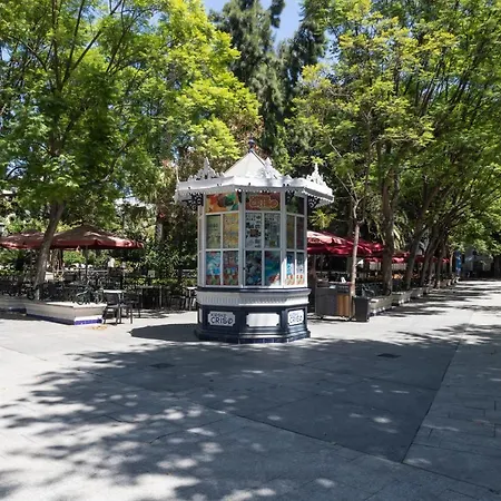 Estudio Plaza Mina By Time * Cádiz