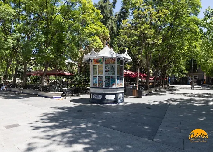 Estudio Plaza Mina By Time * Cádiz